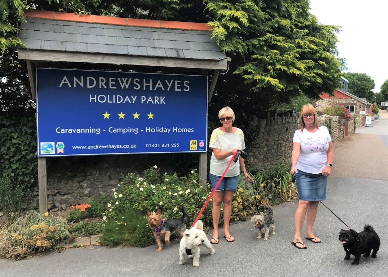 Dog friendly camping at Andrewshayes