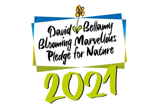 Blooming Marvellous Logo 2021